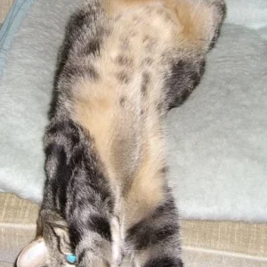 .........ist das schöööööööööön .... -:)