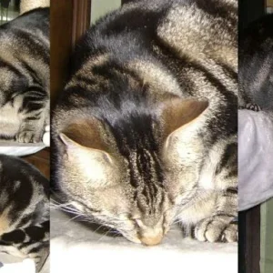 ....mal keine Schlafbilder :-)