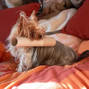 Die Rolle hat sie gemopst