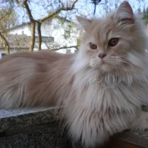 egon, könig der perser ;o)