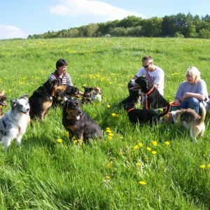 Oberbettinger Hundetreff