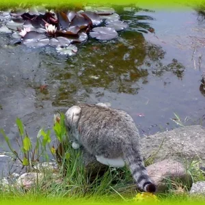 Das Wasser schmeckt!