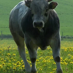 11 Monate nach dem Kaiserschnitt