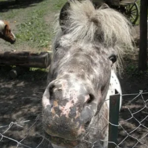 Hast du mir etwas mitgebracht?