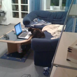 Lissy bei der " Arbeit "