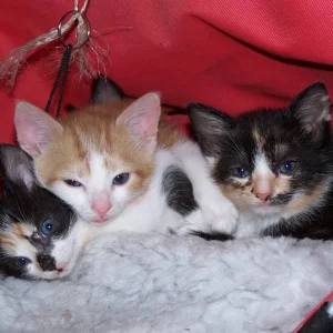 Ruhe vor dem Sturm :)