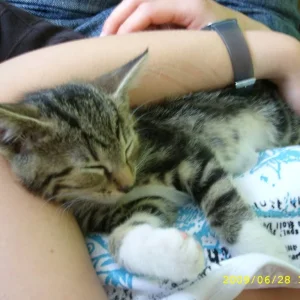 kleines nickerchen gefällig???