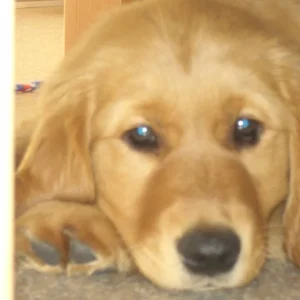 1. Tag bei meiner neuen Familie