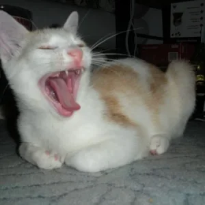 endlich mal ein Schnappschuss ;)