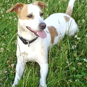 ist er nicht zum  anbeißen ^^