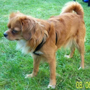 Gibt es nicht,s zum Spielen?