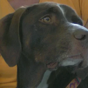 jimmy mein hübscher