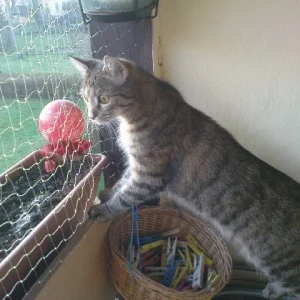 ..beim Vögel beobachten ..