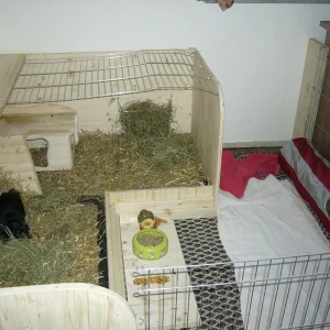 Pia und Paul - deren Reich!