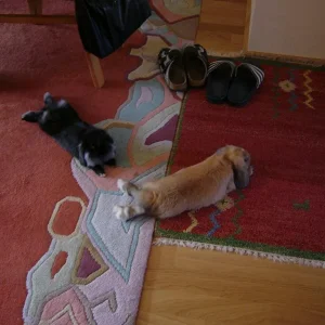 Pia und Paul - Chillen im Wohnzimmer!