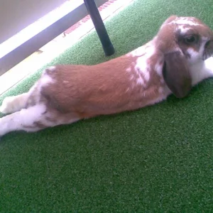 Sooooo lange Beinchen hab ich