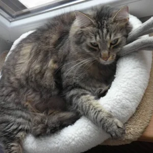 Sandros Wongliebling!:)