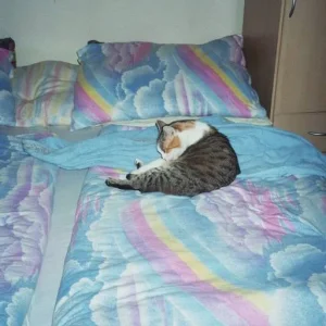 LUNA  schläft am liebsten im Bett