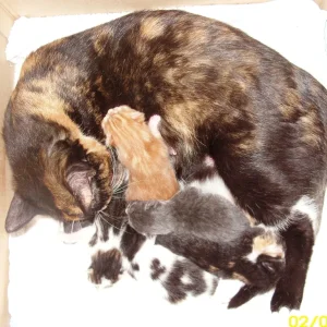 Mausi und ihr Glück - am 3. Tag