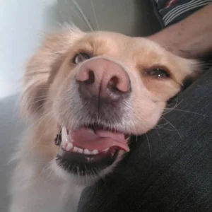 fix und fertig nach dem spielen