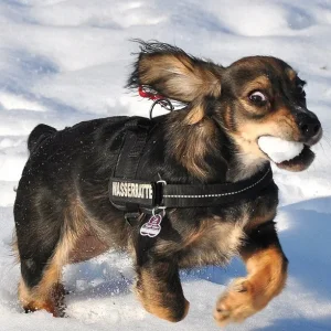 freu mich auf schnee