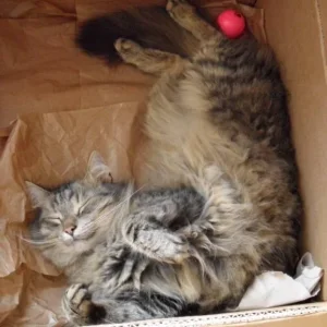 Sandro der Relaxmeister!!