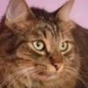 Schönstes Foto von Sandro