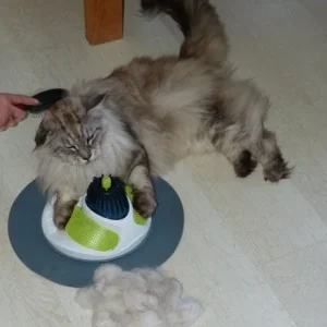 Kämmen ist sooooooooooo schön