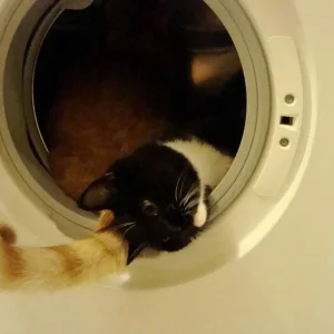 muss da noch was hinein