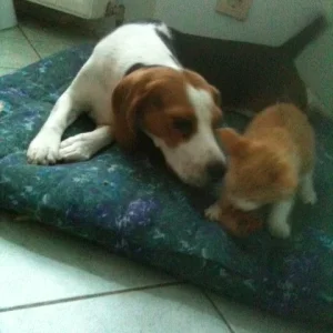 Was hast du da , etwa mein`s ????