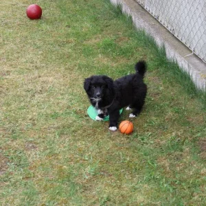 10408559_10204174042100687_1717806920412694635_n