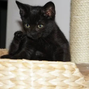 Unser neues Familienmitglied Rainbow <3