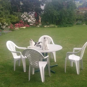 Maxi und Mini am Stammtisch ... ähm auf den Tisch