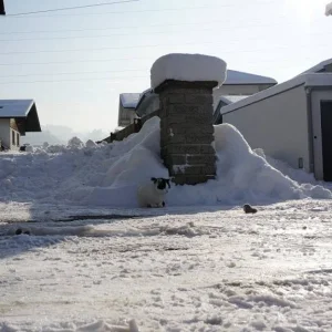 Komisch das die Maus nicht pfeift