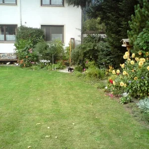 Waugi und ihr Revier