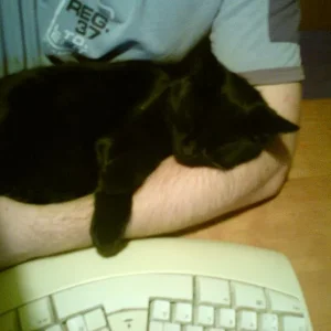 Ihr liebster Schlafplatz