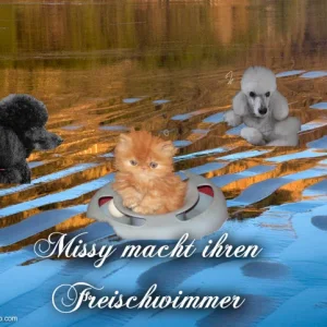 Pizap.com14354174556361