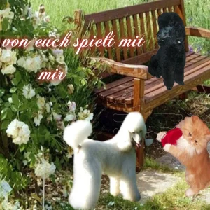 Pizap.com14354846431382