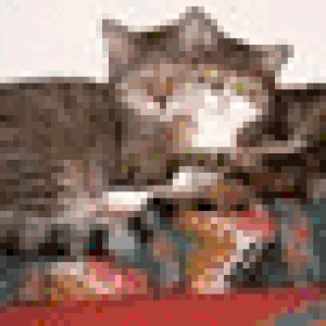 siamesischetwins Kopie.gif