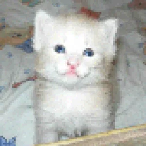 Boromir 3 Wochen.gif