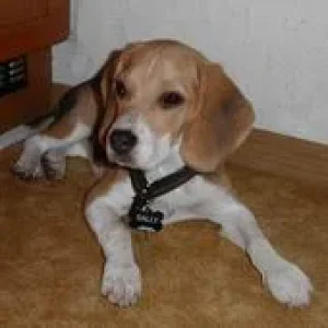 Resize of Bild 015.jpg