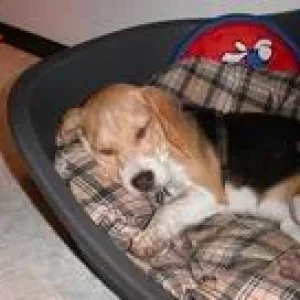 Resize of Resize of Bild 027.jpg