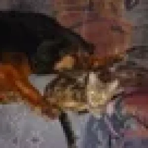 weihnachten 2005 200.jpg