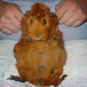 Fleur beim nägelschneiden.jpg