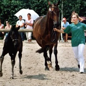 Kopie (2) von fewinja.jpg