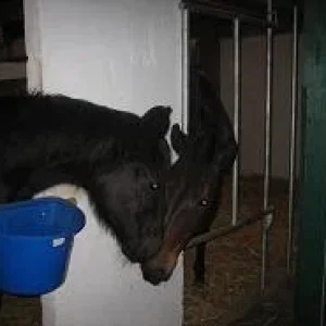 Kopie von Kopie von IMG_0888.jpg