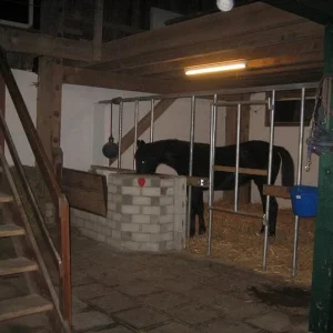 Kopie von IMG_0860.jpg