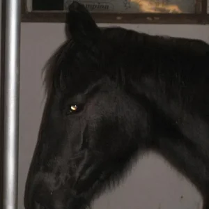 Kopie von IMG_0885.jpg