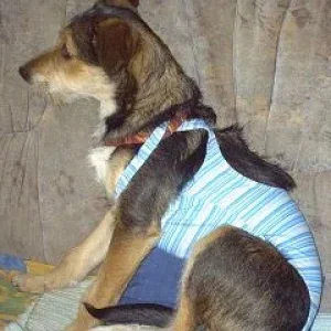 k-Bonny und Kira 030.jpg