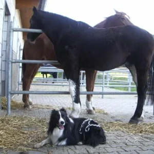 amos_erlenbach_märz07 031.jpg